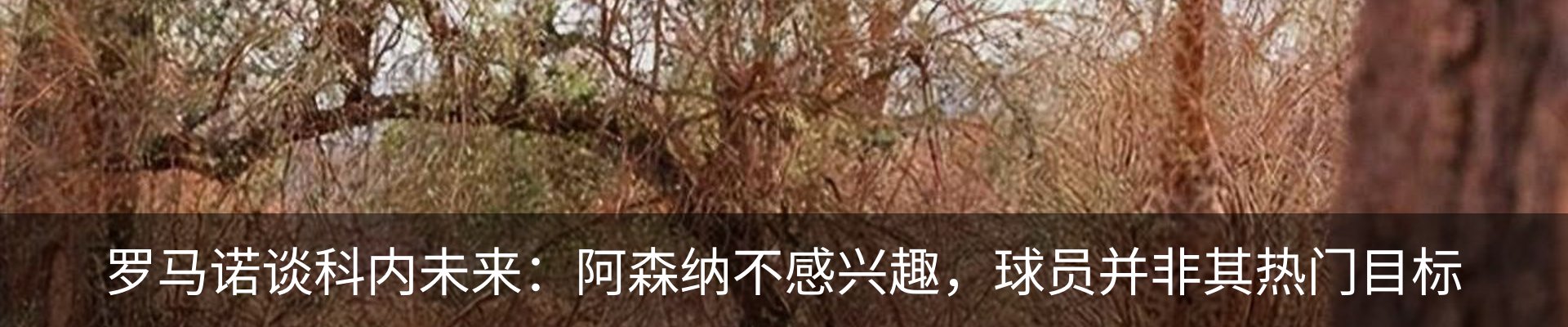 新闻动态
